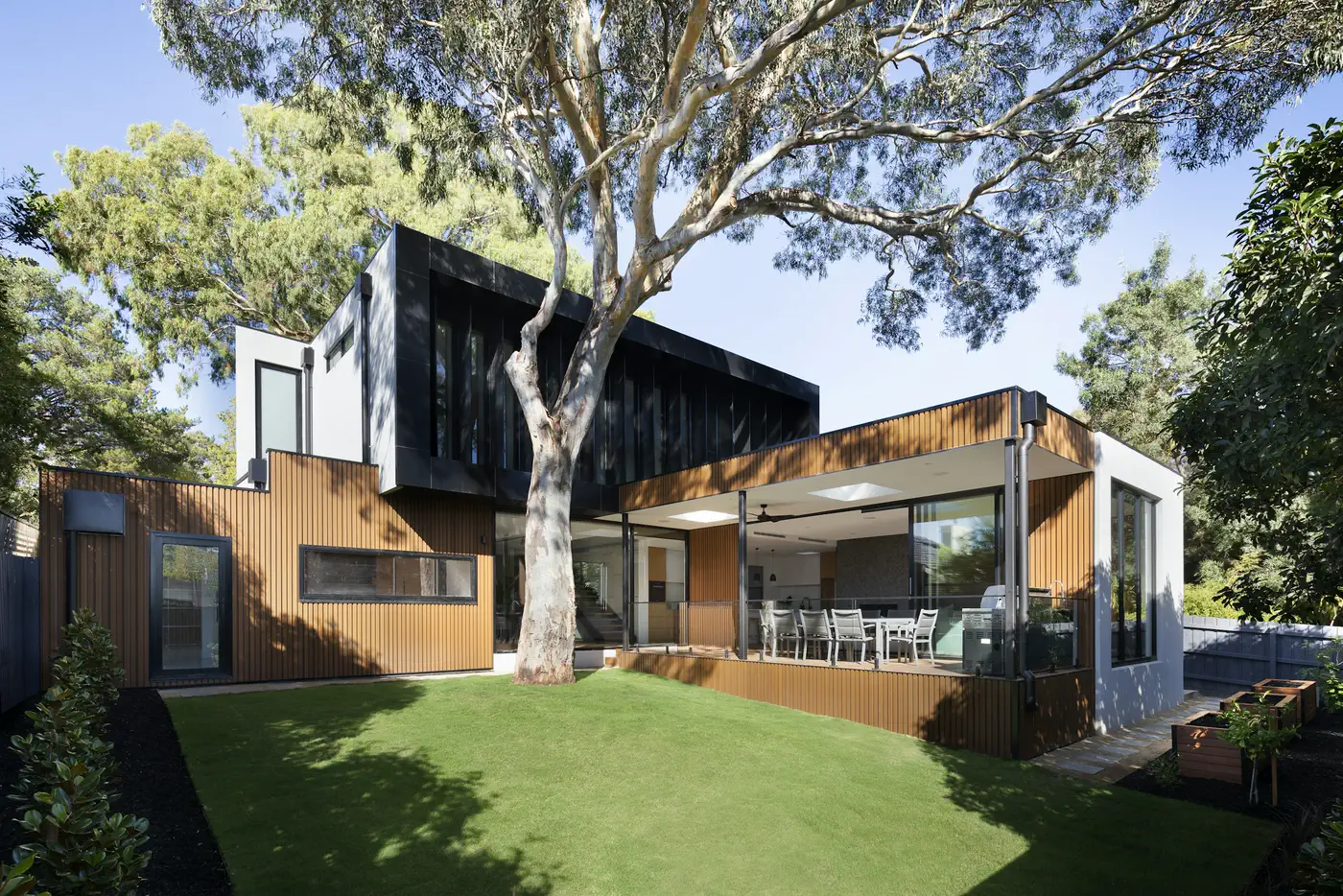 Maison en bardage bois et volumes noirs sous un grand eucalyptus, pelouse au premier plan